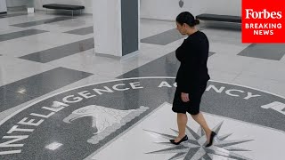 Viral CIA Recruitment Video Features Cisgender Millennial Who Says I Am Unapologetically Me