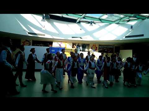 VID_20190216_103523.mp4