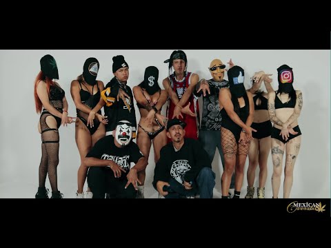MORBO - PERRO ZW