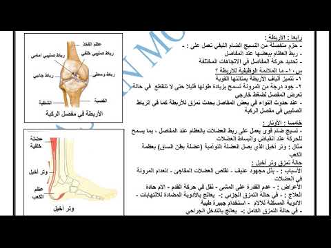 أحياء 3 ثانوي ( الأربطة و الأوتار ) أ حمدي عبد الغني الإذاعة التعليمية