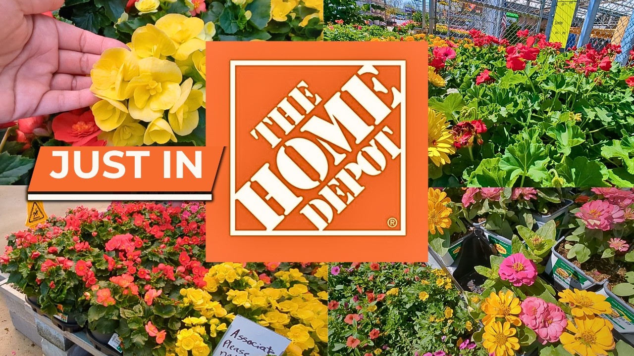 New Spring Plant Arrivals-Home Depot Garden Center--April 2026