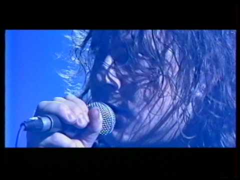 Sunhouse "Monkey Dead"