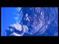 Sunhouse "Monkey Dead" 