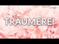 Schumann: Träumerei (Dreaming)