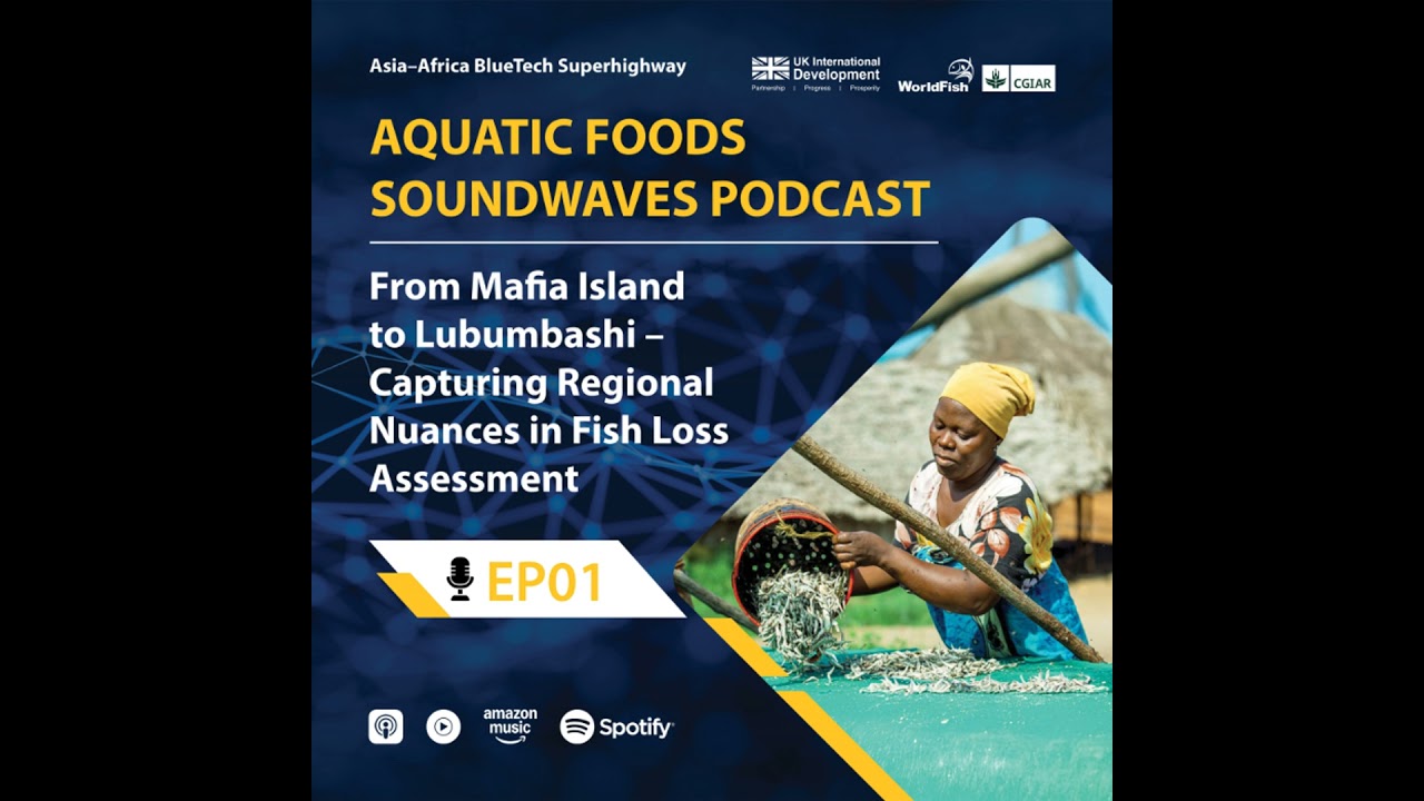 From Mafia Island to Lubumbashi – Capturing Regional Nuances in Fish Loss Assessment