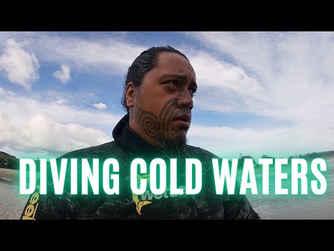 Gathering Mussels and Oysters in Taipa