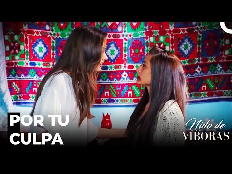 Pelea De Nagme Y Elvan - Nido De Víboras