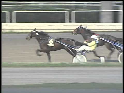 Trotto 04/12/2014 - 4° corsa