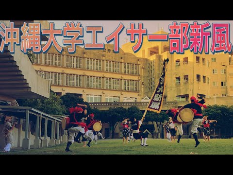 エイサー　沖縄大学エイサー部「新風」【沖大祭2021】