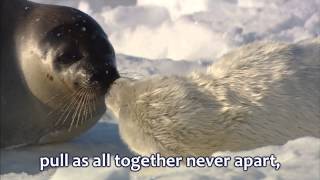 Love in any language, Sandi Patty