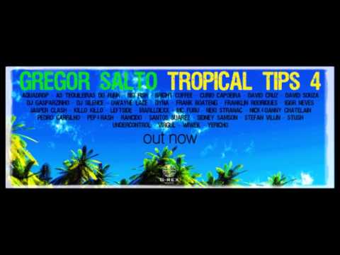 Gregor Salto - Tropical Tips 4 (Continuous DJ Mix)