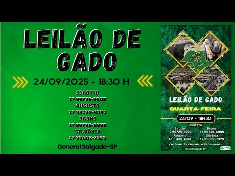 LEILÃO DE GADO  -  SIROTTO LEILÕES - GENERAL SALGADO - SP  - 24/09/2025