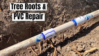 Septic Drain Field clogged with Tree Roots and PVC Repair