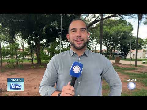 Queda de eucalipto em Tejupá: mãe e filha escapam ilesas de acidente