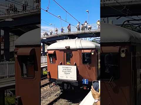 Heritage electric train run #train #shorts #sydney #heritage