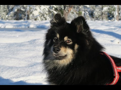 Nærtur i Klæbu - Sentrum til Byatjønna