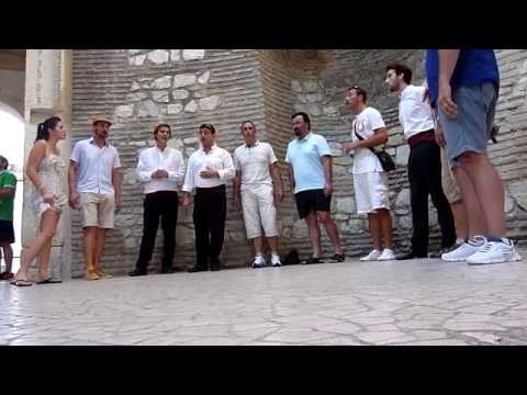 Klapa Barun i Klapa Contra (Vestibul, Dioklecijanova palača) - Cvijet čežnje