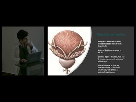 prostatitis romaista kezelése
