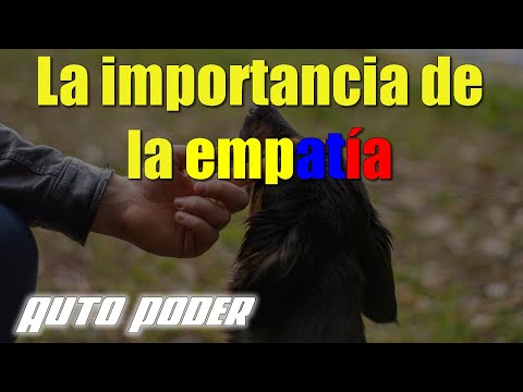 La importancia de la empatía