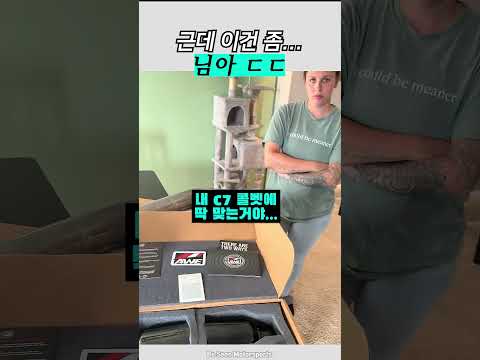 차 동호회 유부남의 최후