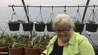 2021 Schenectady ARC Horticulture Center Greenhouse Tour
