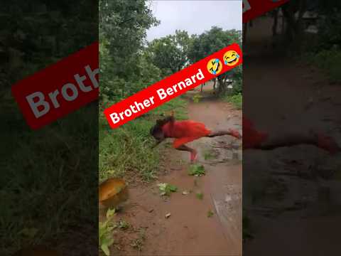 brother Bernard's problems always 😂💔 #laugher #funny #trending #viral #viralvideo #shorts #asmr #yt