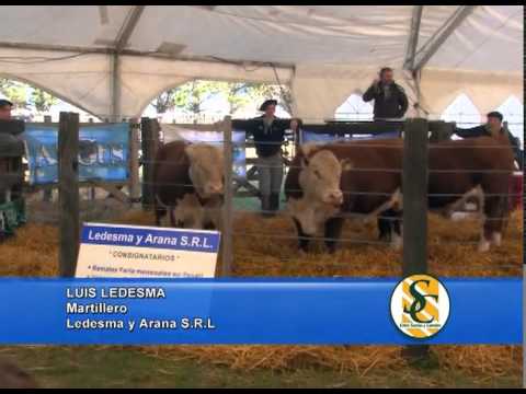 LUIS LEDESMA - Cabaña: Los Ceibos e invitados - Gardey - Tandil - 18/09/2013