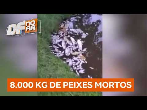 Agrotóxicos não autorizados contaminam área rural em Goiás e afetam moradores | DF no Ar