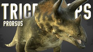 Triceratops Prorsus video thumbnail