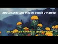 quartz - tv on the radio // lyrics+sub