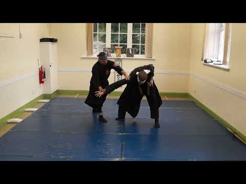 Genbukan Kenshu Dojo . Training, Tests and Tokkun 2025