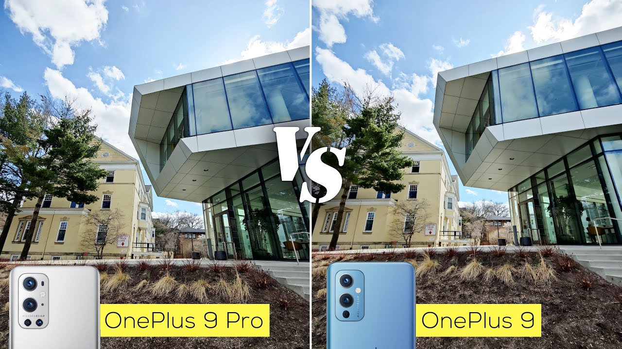 OnePlus 9 Pro versus OnePlus 9 camera comparison