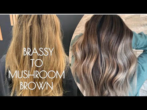 FOILAYAGE & COLOR MELT | Brassy Hair To MUSHROOM BROWN...