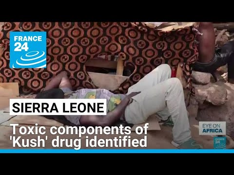 Sierra Leone: Toxic components of deadly 'Kush' drug finally identified • FRANCE 24 English