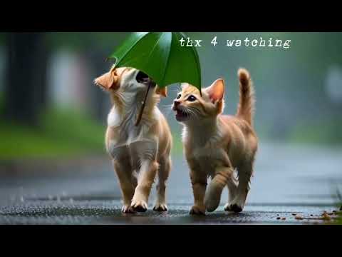 Perfect for kids, families, and anyone.