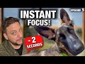 How to Train ANY Dog to Pay Attention in 2 Seconds