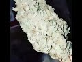 That piff haze..