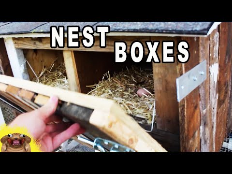 Build External Nesting Box for Chicken Coop