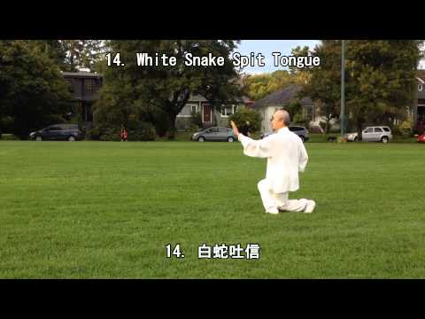 48 Form Tai Chi (Back View) (2013.09.16)