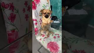 Miniature vidéo
