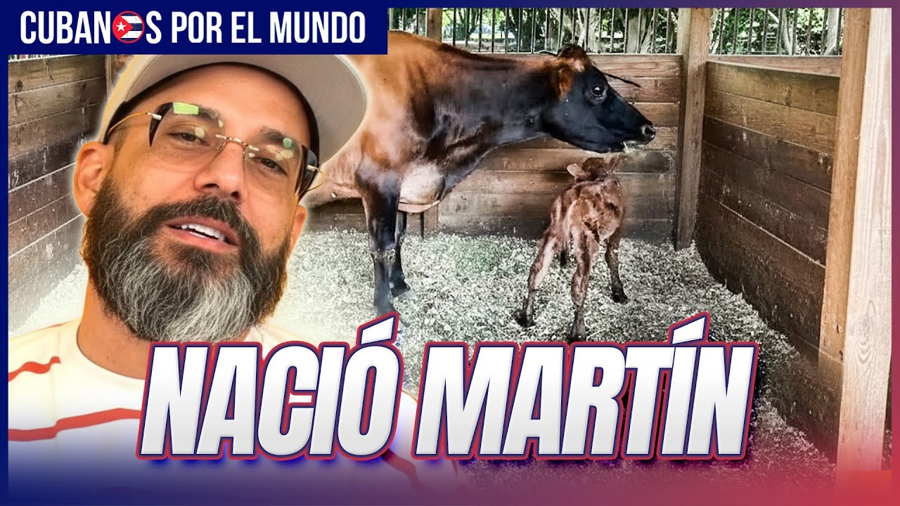 Otaola muestra el parto de su vaca por cámara y bautiza el ternerito como "Martín"