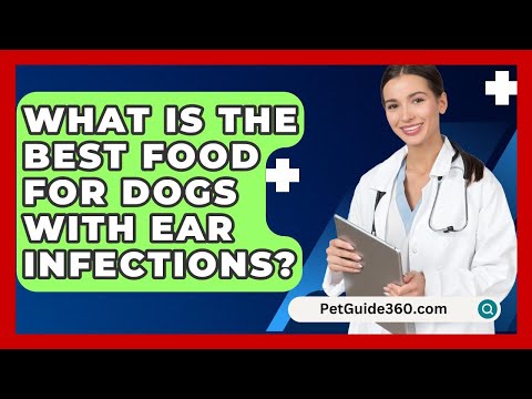 What Is The Best Food For Dogs With Ear Infections? - PetGuide360.com