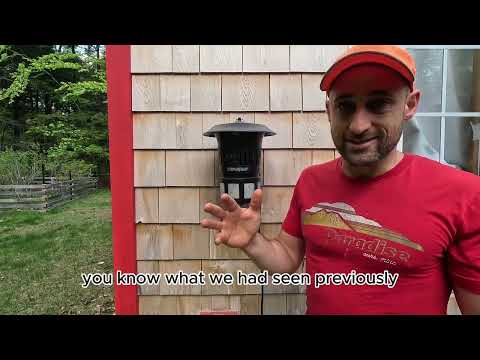 review: dynatrap misquito trap and how they actually work