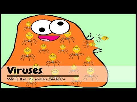 (OLD VIDEO) Viruses