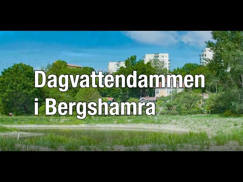 Nya dagvattendammen i Bergshamra