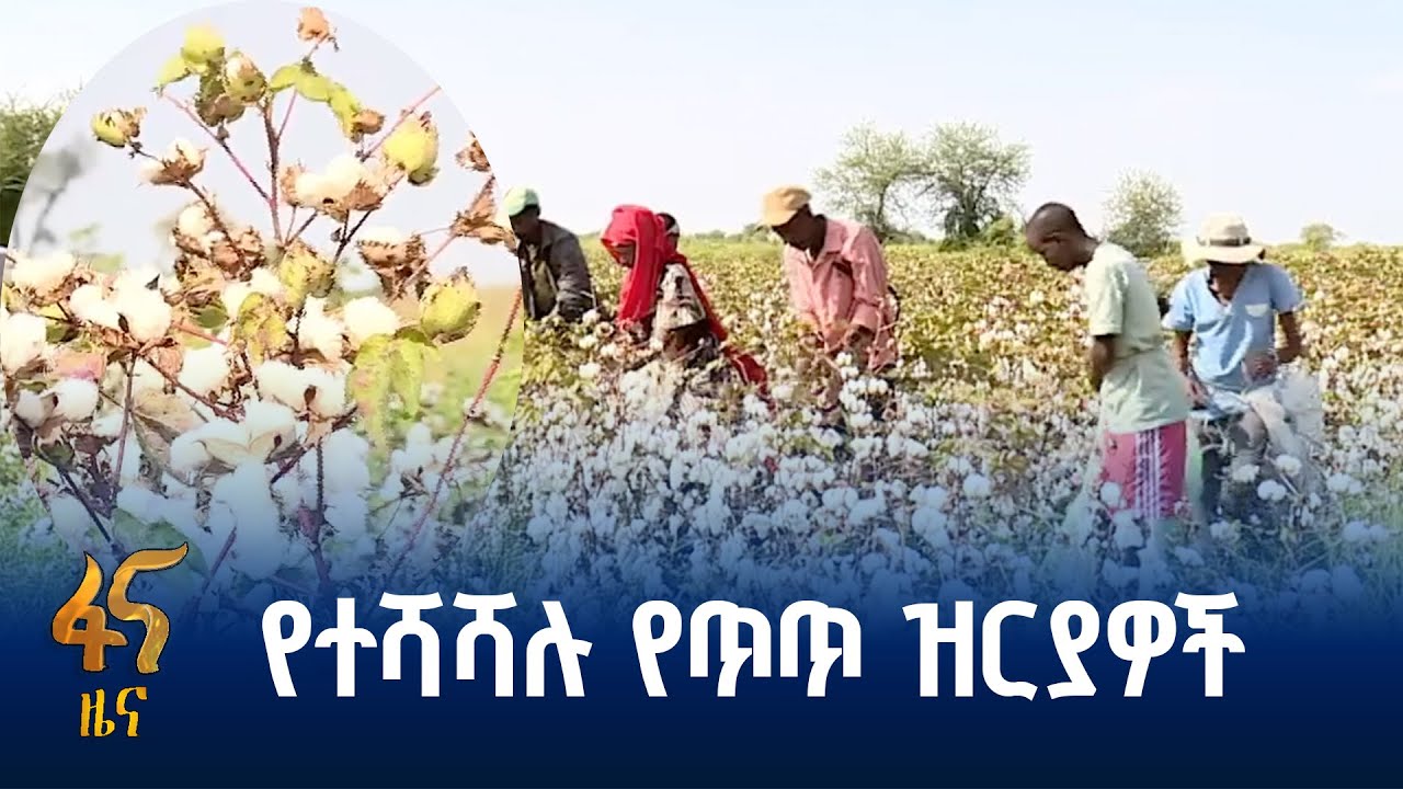 የወረር ግብርና ምርምር ማዕከል የለቀቃቸው ዝርያዎች