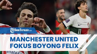 Manchester United Fokus Boyong Joao Felix, Move On dari Cody Gakpo