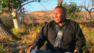 Chief Arvol Looking Horse Speaks of White Buffalo Prophecy