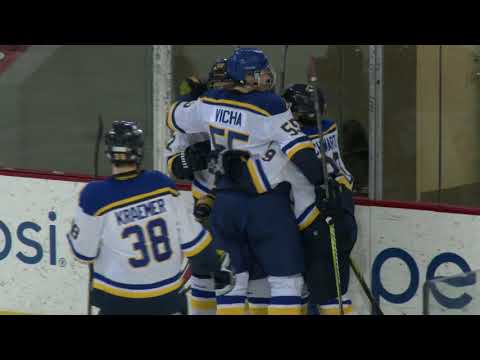 AAA Blues U18 Top Plays on 1/7/18 vs. Ohio Blue Jackets.