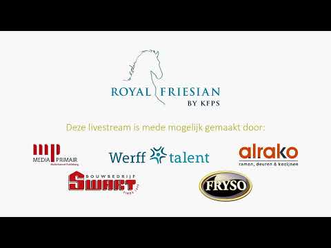 Fokdag | Het Friesche Paard Zuid Nederland | 29 juli 2024